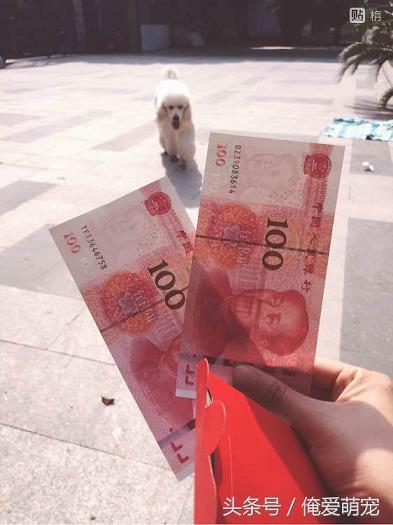 亿博体育注册开户