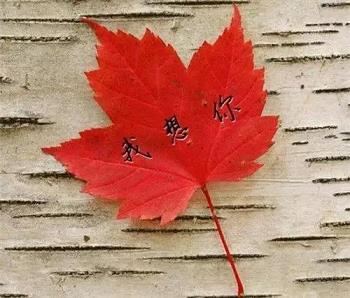 牛八体育网址